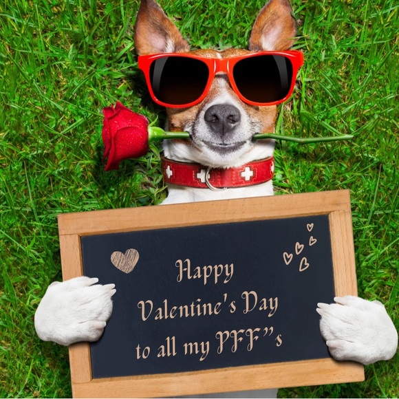 Meet your Posher, Ej - Picture 5 of 5